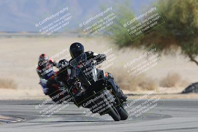 media/Oct-13-2025-Moto Forza (Mon) [[a66d839500]]/3-B Group/Session 4 Turn 4 Tree of Life/